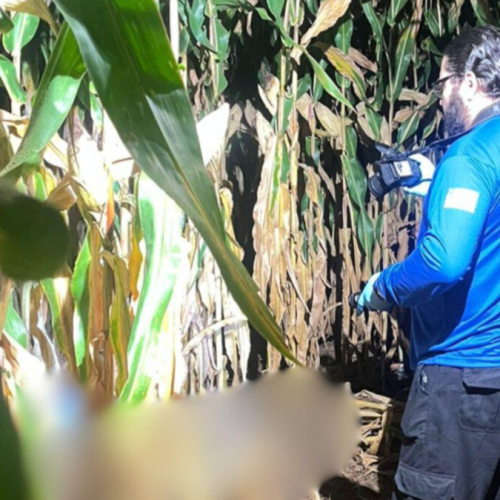 Atirador mata companheiro de caça após confundi-lo com animal, em Mineiros